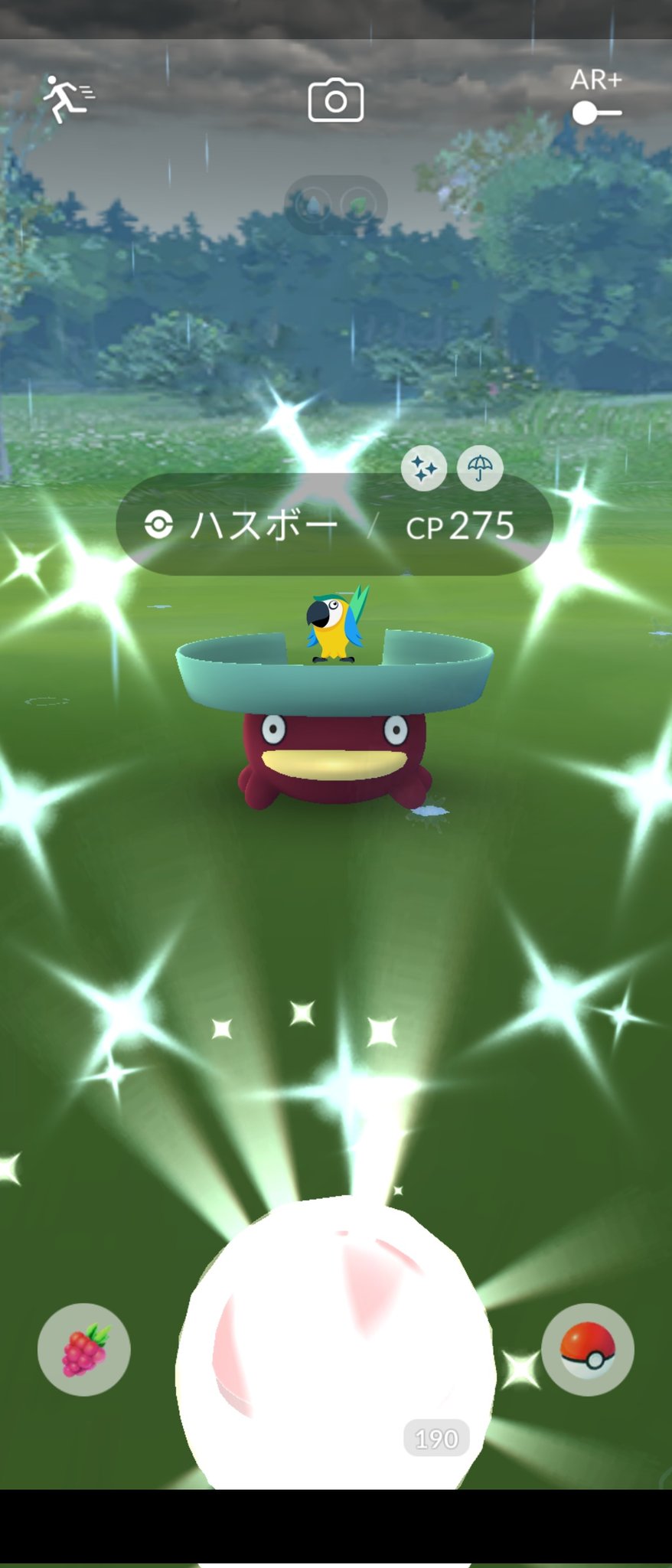ポケgo Gr851 Castleruined ハスボーおめでとう Twitter