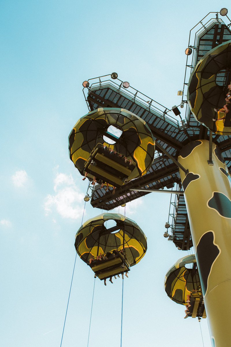 Tim Cayem tweet media