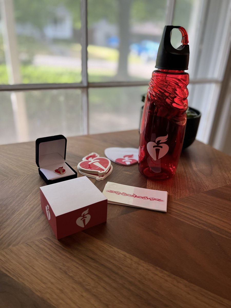 jayveeonYT's tweet photo. hey thanks @American_Heart for the goodies! I had a blast streaming with @FalloutForHope for the Play F.A.S.T. with Pride event!! so proud of our community for making a difference 💙🏳️‍🌈 https://t.co/9zGvOr5rz1