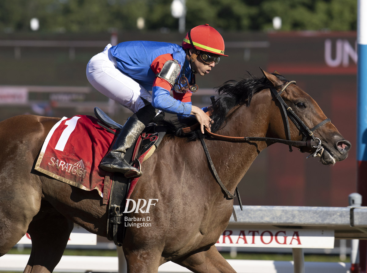 Tanya Gunther on Twitter "RT DailyRacingForm Just Cindy, by