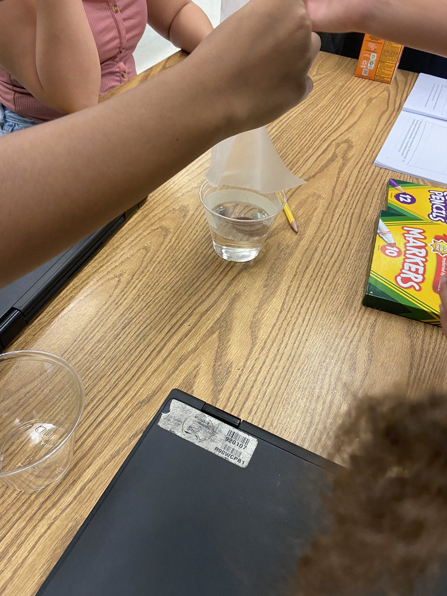 CarolSullo's tweet photo. What a great week @ summer school @ Friendship Elem! TY for allowing me to serve as your AP this week! Sight words, sea monkeys, flipping frogs, senses, planes flying, &amp;  flashlight shapes. Everyone was so kind so I provided a sweet treat today! @VCSElementary @ScottFESBobcats https://t.co/2k2O3tdYkP