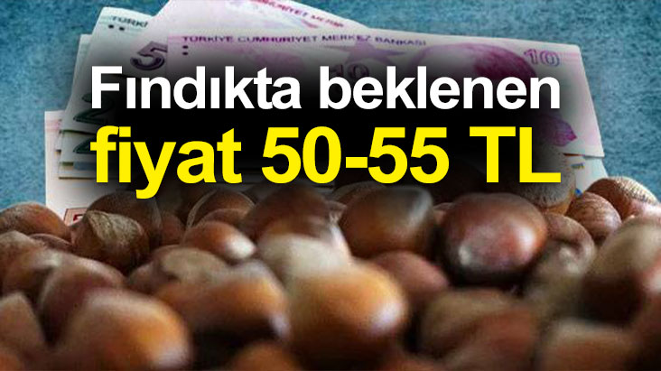 Fındıkta beklenen fiyat 50-55 TL arası!
findiktv.com/findikta-bekle…