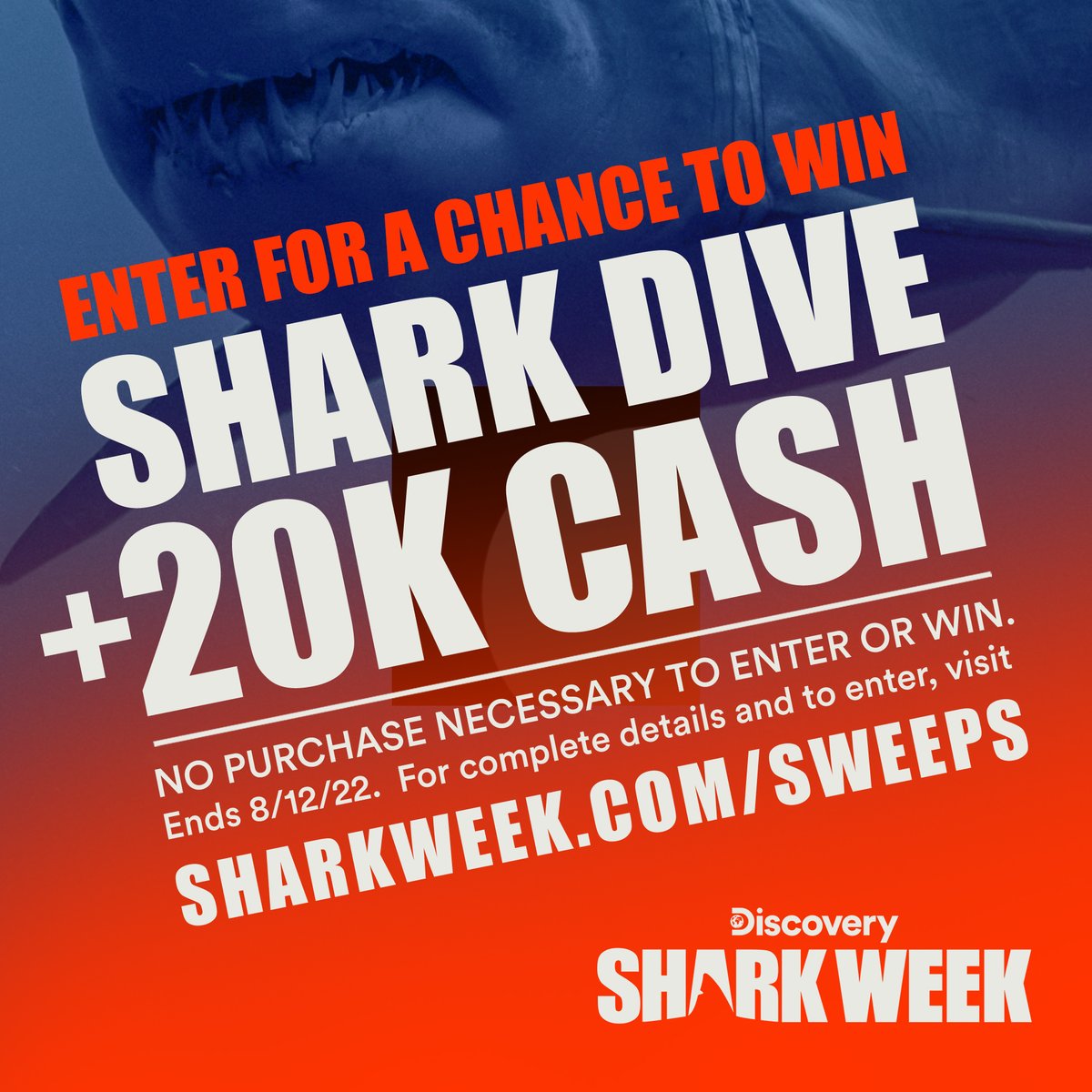 SharkWeek's tweet photo. #SharkWeek Bucket List✅

Enter for a chance to win your own shark dive trip for 2 from @IslanderCrew plus $20K at https://t.co/7xncQBfTgy https://t.co/G0xBP1B6AO