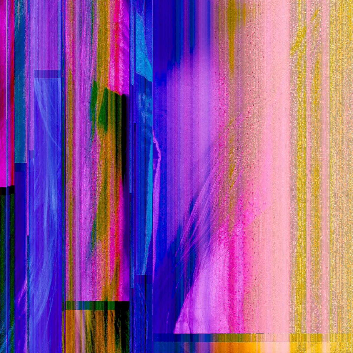 Marta Timmer tweet media