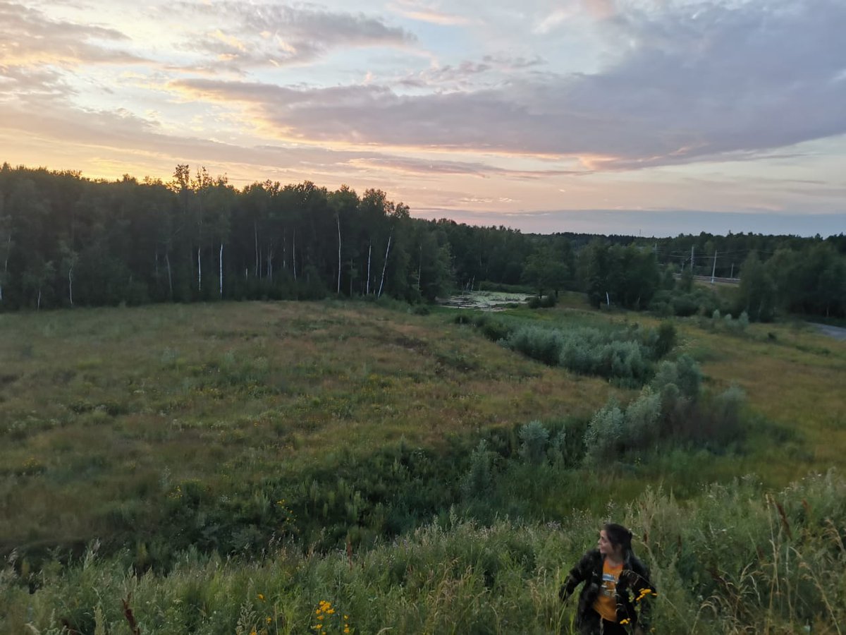 Юрий tweet media