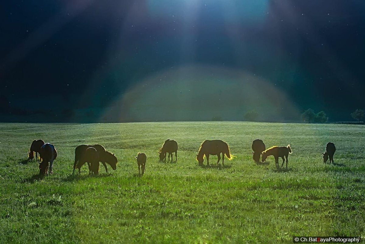 Өглөөний мэнд 🤗
Инээж байгаа хүн, мандаж байгаа нар 2 үргэлж дулаан байдаг 🥰