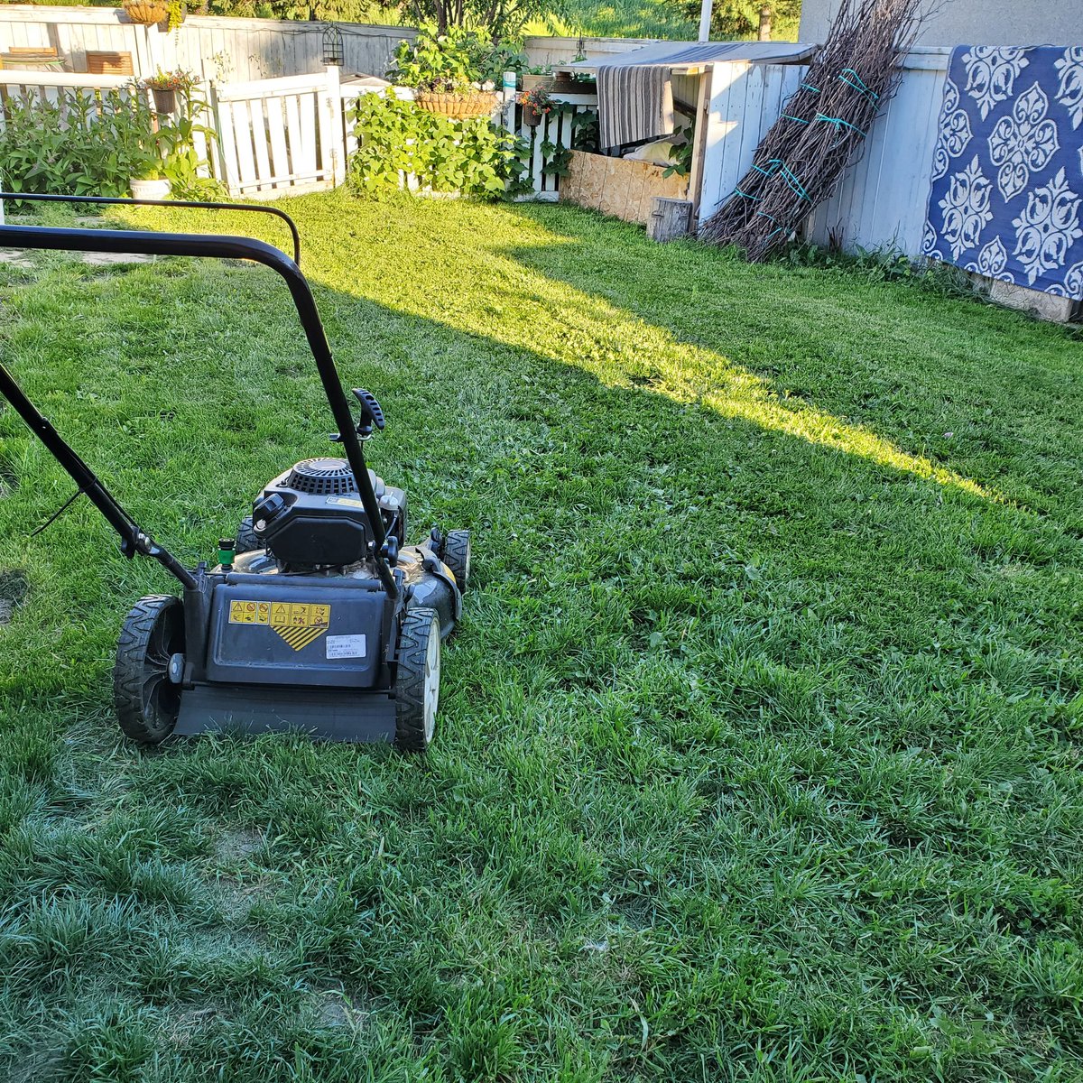liamcrotty's tweet photo. You bet #IGoBagless. It's less work, saves water, and is better for the lawn. Also nicely hides dead patches. 🙂 https://t.co/xg0cYDAWnN