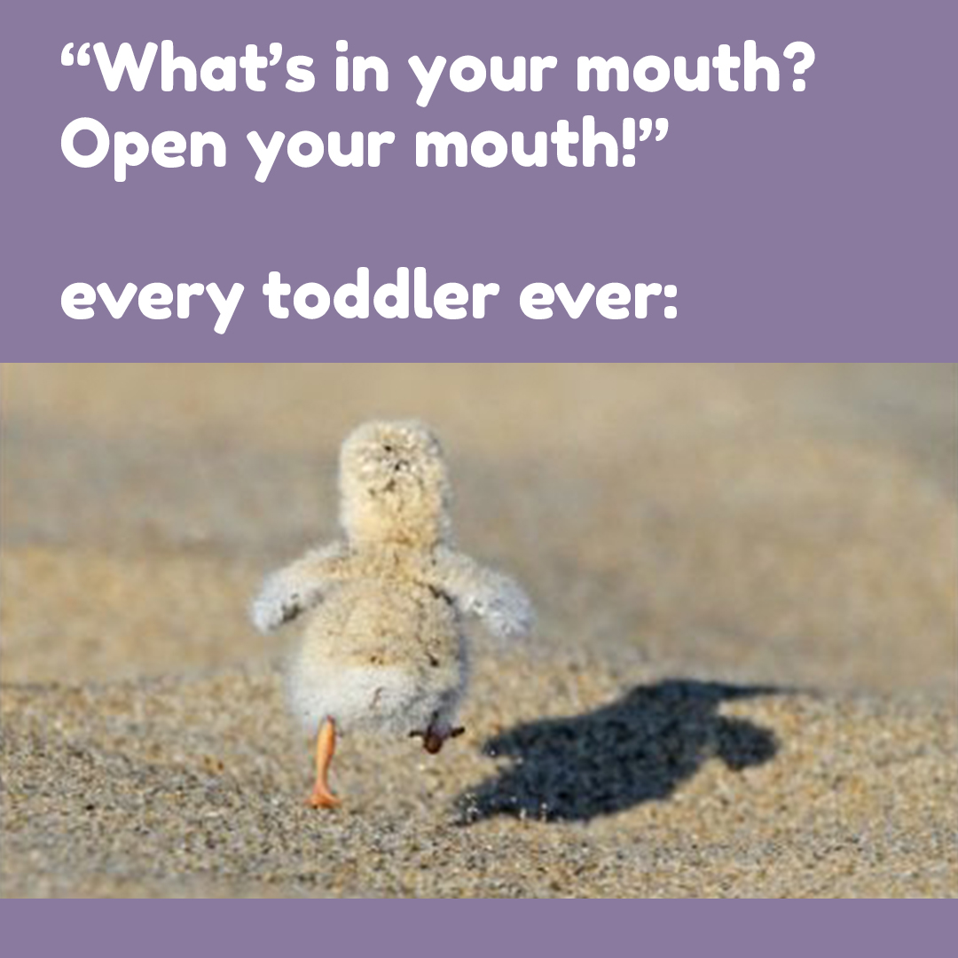 wildbabycom's tweet photo. Toddlers are such cheeky speedsters! Oh, and don't even start with the character they bring out every time! 🙃 😩 😂 https://t.co/rErfSuUyGk