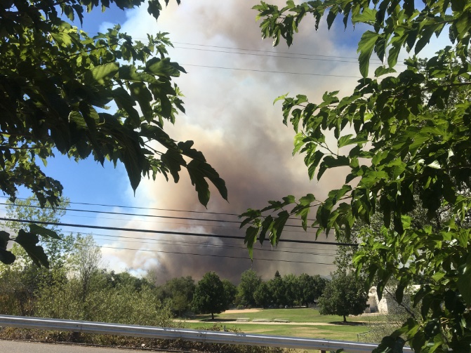 emeeeych's tweet image. This shit is moving and burning very badly #peterfire