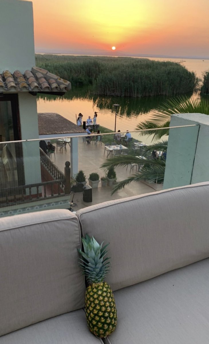 Gracias
Gracias
Gracias

#FreshSunset