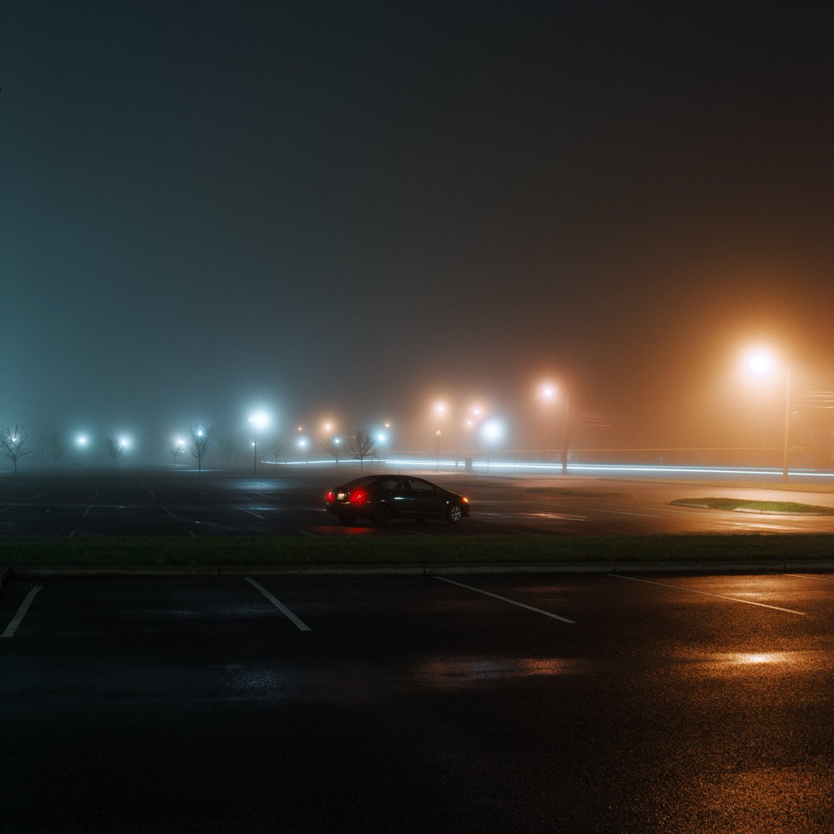 Stranger thing. #mediumformat #fujipro160ns #mamiya645 #blackwithfilm