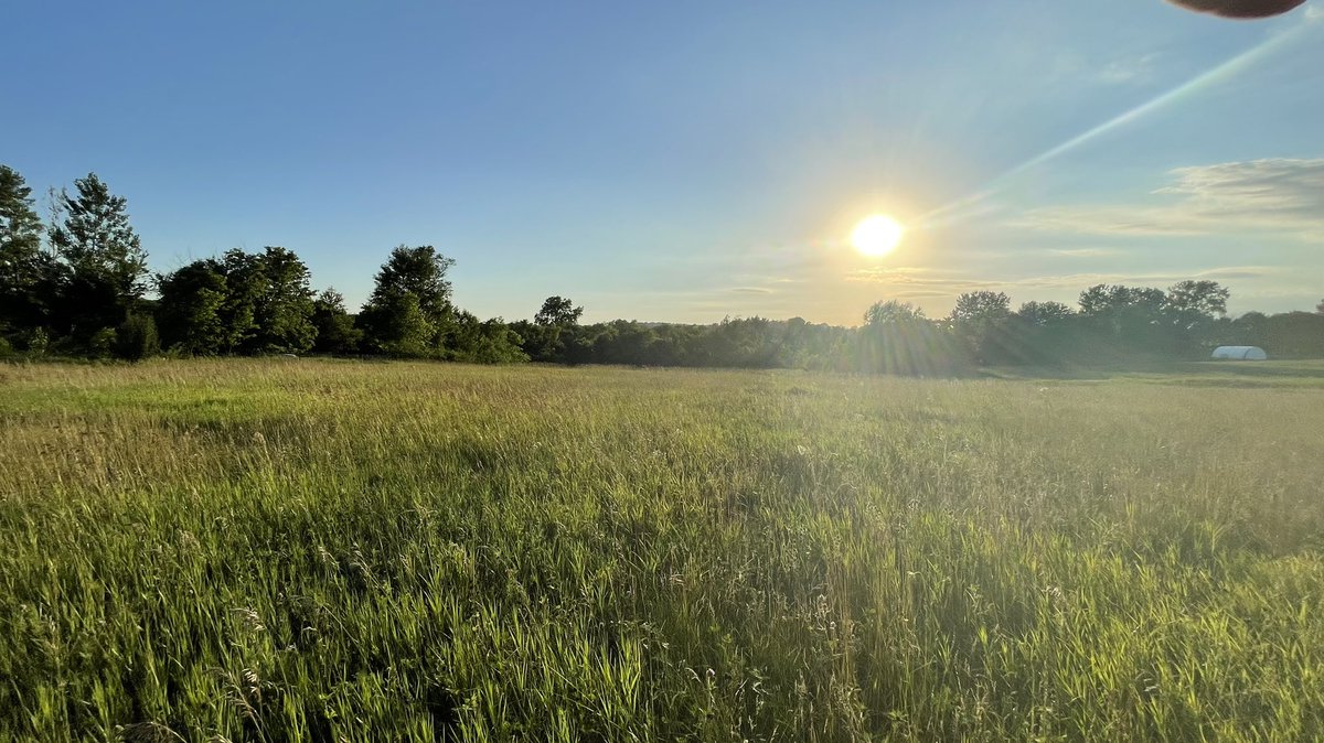 RunningHomeDSM's tweet image. You should see the land I have listed in Madison County!
DM me for deets!