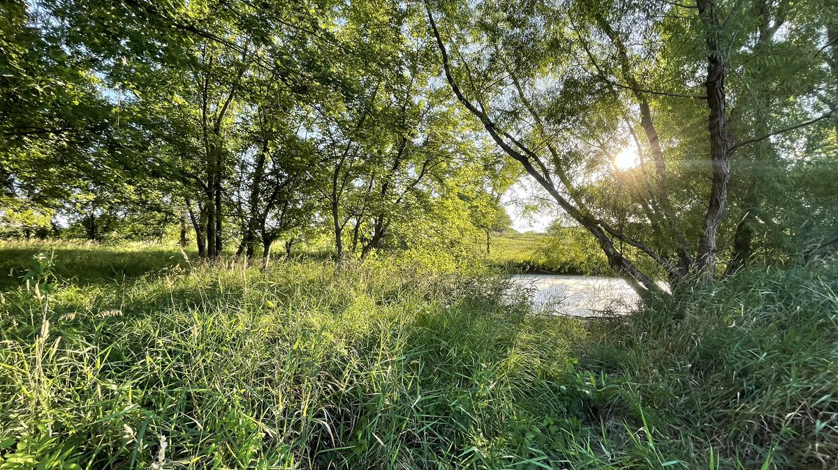 RunningHomeDSM's tweet image. You should see the land I have listed in Madison County!
DM me for deets!