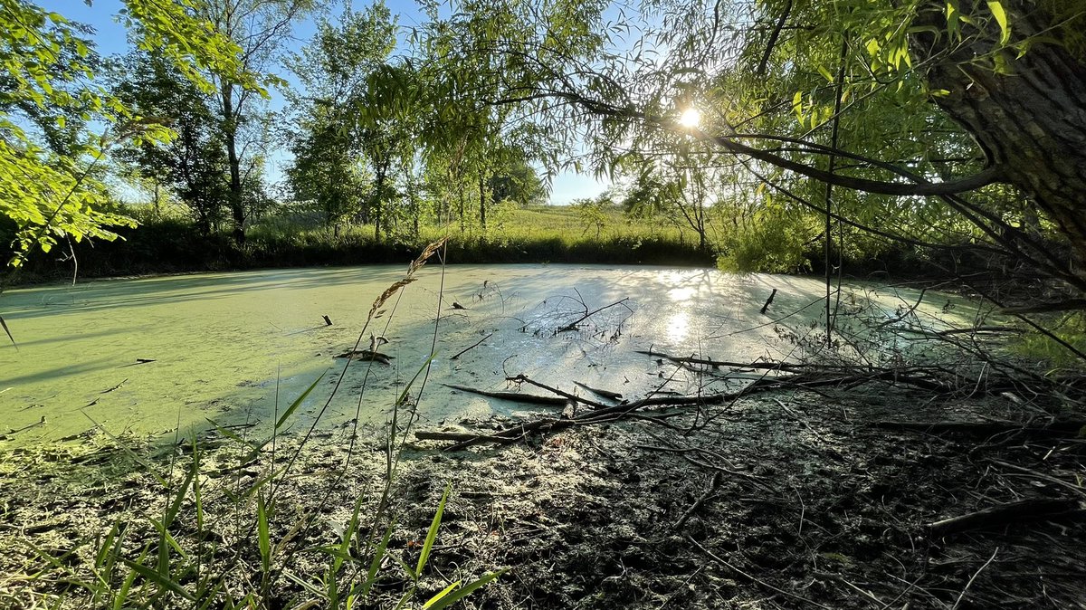 RunningHomeDSM's tweet image. You should see the land I have listed in Madison County!
DM me for deets!