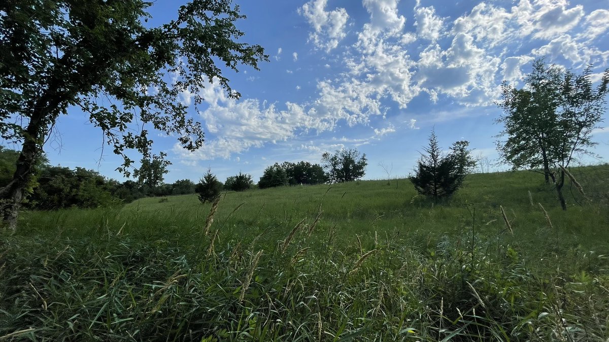 RunningHomeDSM's tweet image. You should see the land I have listed in Madison County!
DM me for deets!