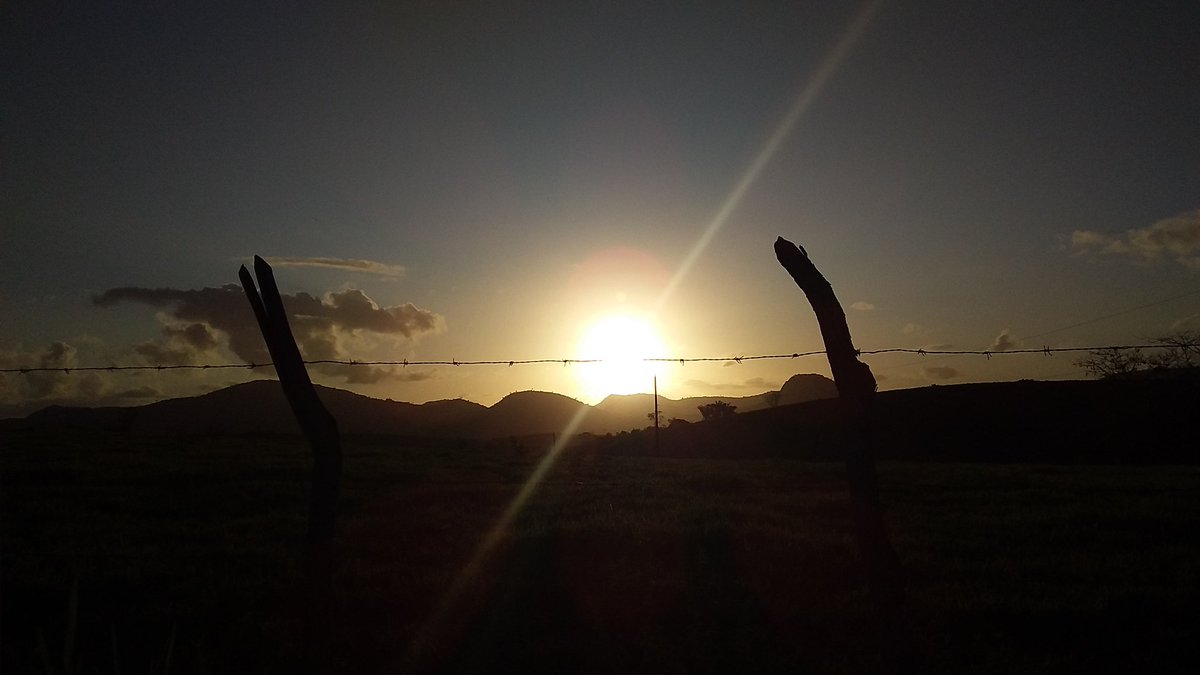 EdjaQuintella's tweet photo. Interior de Alagoas.  Por do sol🍂 https://t.co/pD6gW1GLP4