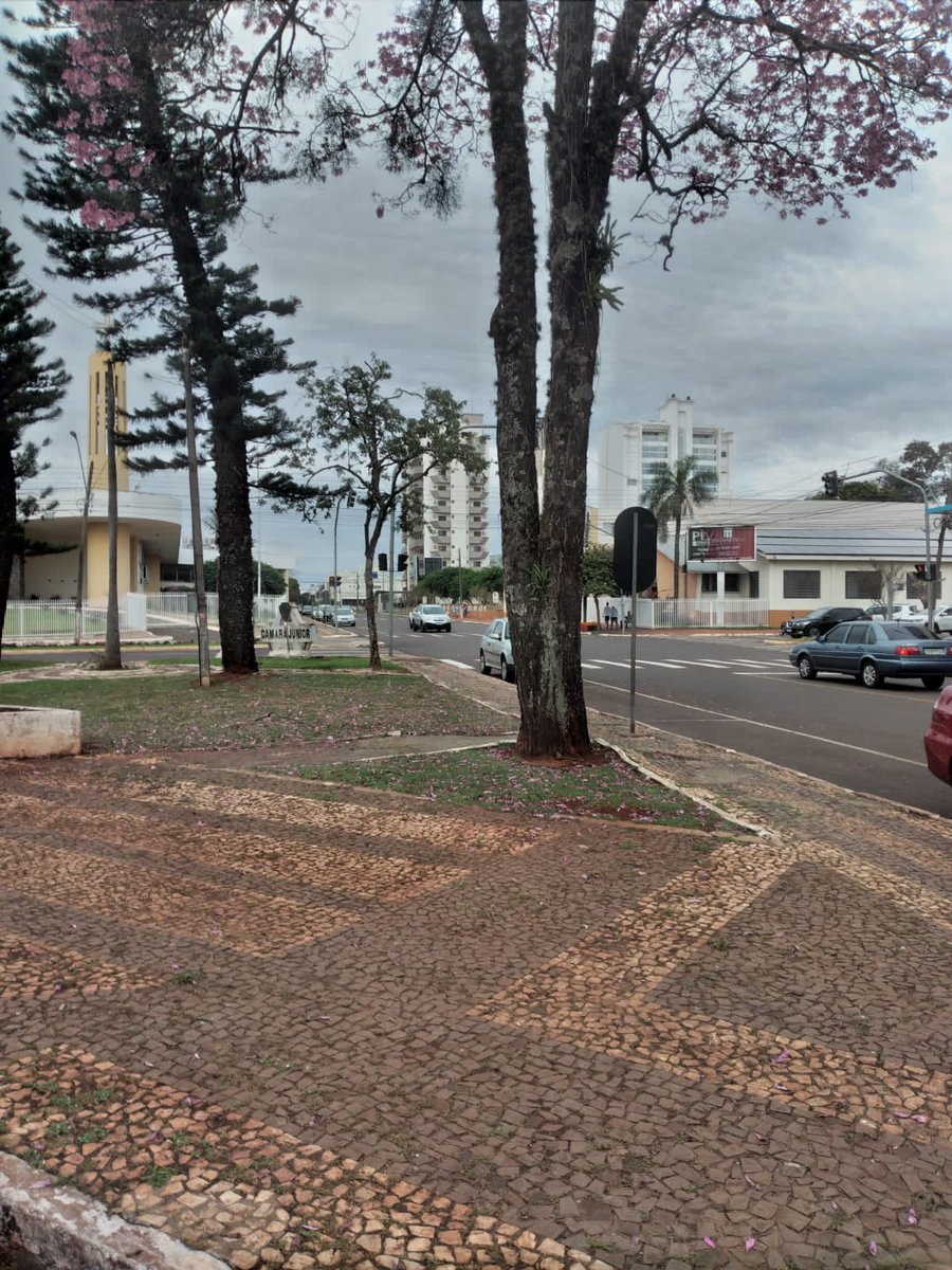 EdjaQuintella's tweet photo. PARANÁ https://t.co/0wm26WCPMf