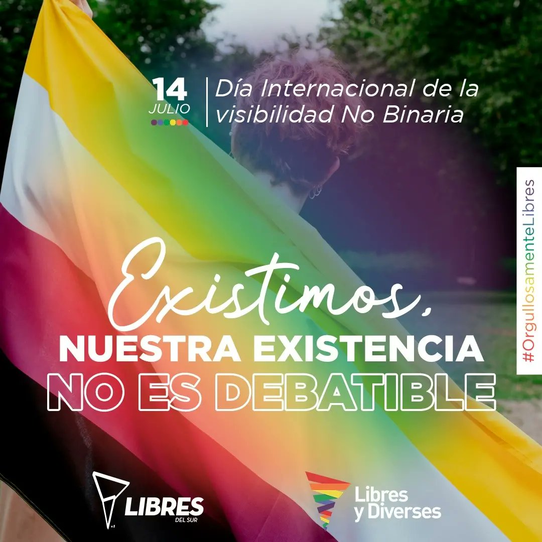 Libres y Diverses Salta tweet media