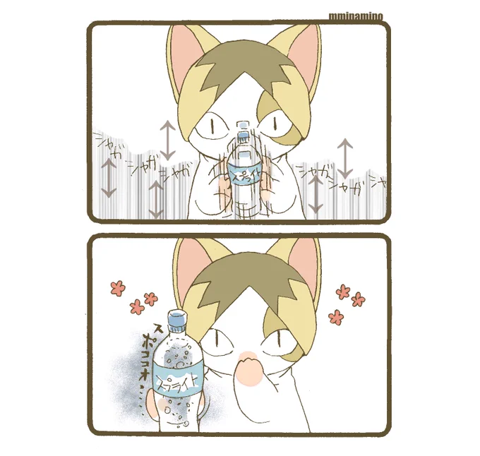 水分補給を推奨するねこ 