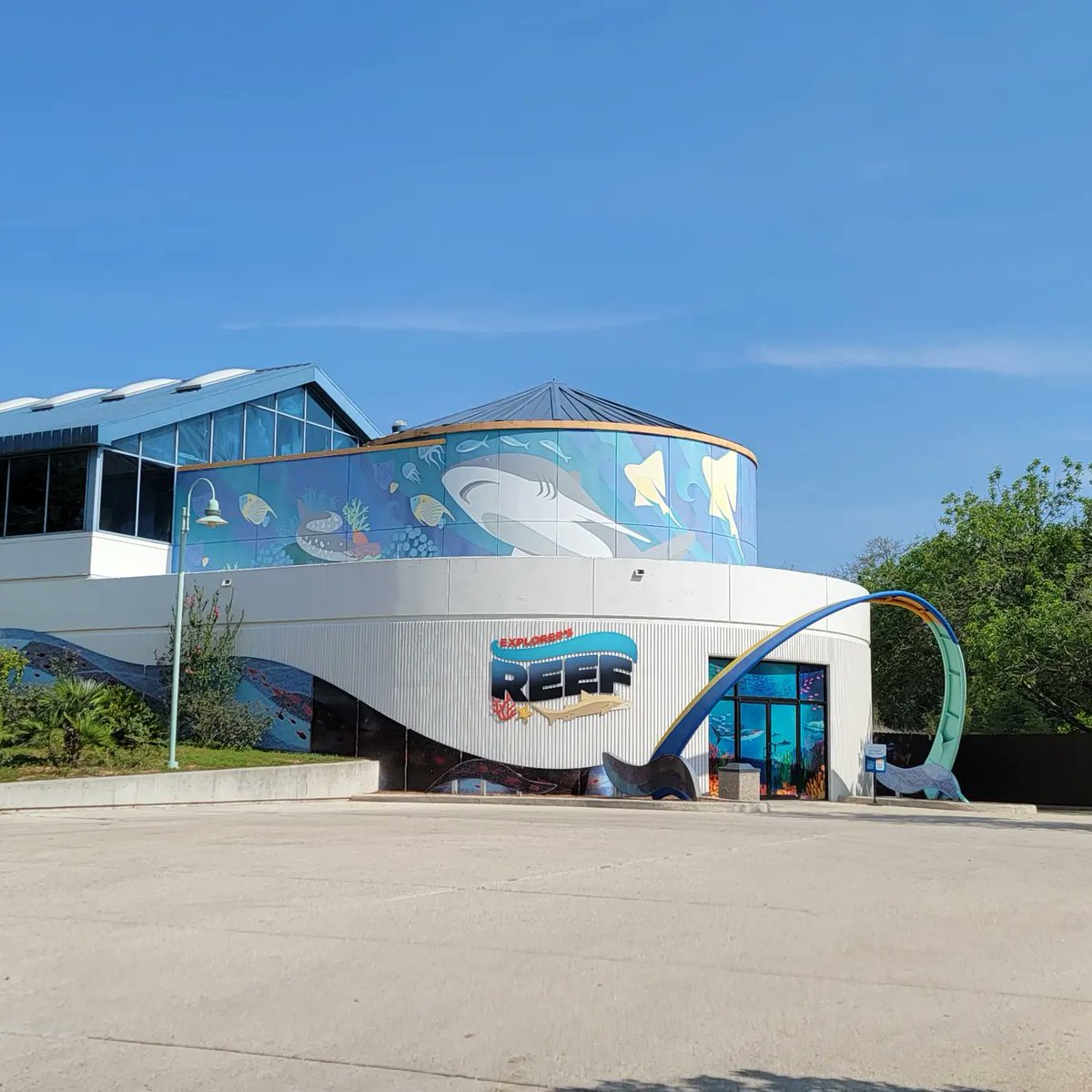 SouthsideSATX's tweet photo. Outside the Southside: Today is #SharkAwareness Day! We spent some time at @SeaWorldTexas &amp; learned about how sharks are key actors of the marine ecosystem, helping maintain the balance. Shark Tour: https://t.co/OGGMVQeCBm. #LiveFromTheSouthside #SanAntonio
#seaworldsanantonio https://t.co/A0sUgdysFS