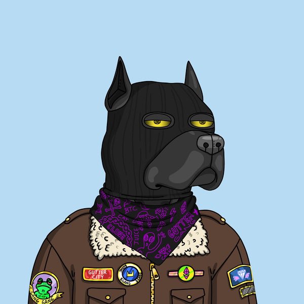 Dreams&Schemes tweet media