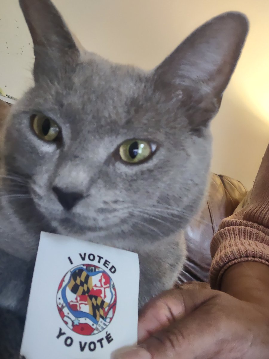 chewstruth's tweet photo. @iamwesmoore @tify330 THEE Queen Lydia's Human voted for Wes Moore for Governor of Maryland today.
Lydia's Human's Mom Patricia voted for Wes Moore, too.
Wes Moore got a clean sweep from House Chew. https://t.co/ixkpoTd195