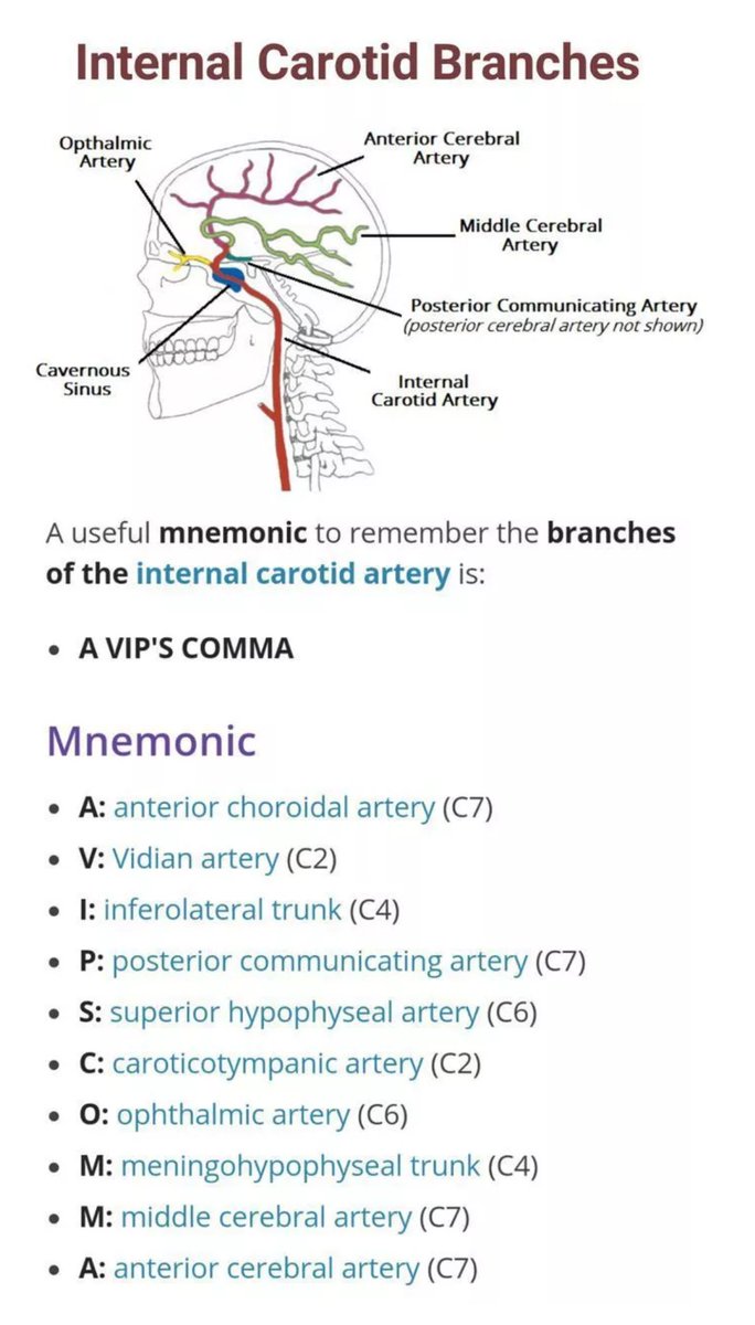 I heard you also wanted a mnemonic for the Internal Carotid Artery branches, so please remember A VIPs comma. SOURCE: Medizzy