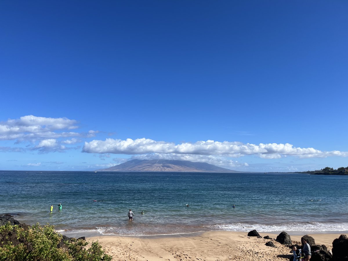 All aloha vibes!🤙