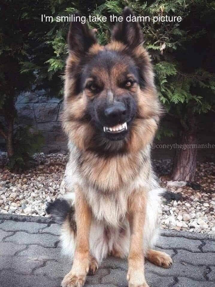 My Goodness Kitchen tweet media