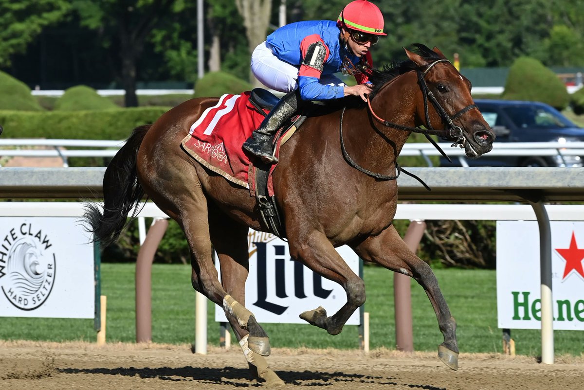Coolmore America tweet media