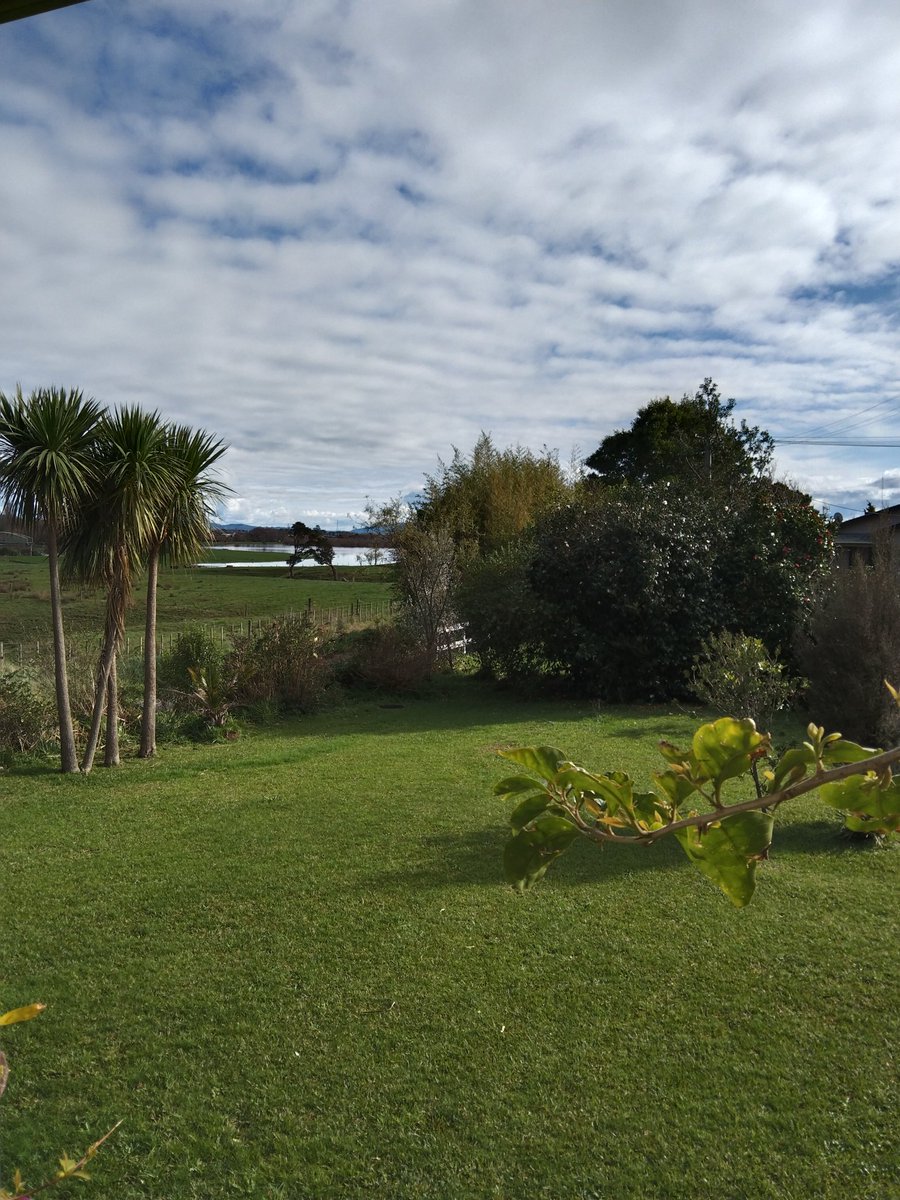 WoodOnWineNZ's tweet photo. It's lovely living next to a river... Except I don't... #floodyhell #TeAroha https://t.co/SCHTFqmrCf