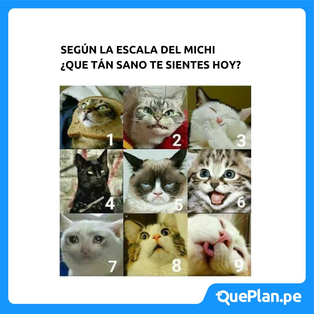 QuePlanPe's tweet photo. En caso de que tu estado de Salud esté como los números 1,2,5 o 7, te recomendamos un Seguro de Salud.🙌🏼

¡Puedes ingresar a nuestro comparador para ver los planes que tenemos para ti!🔎

https://t.co/PGJt7Qr5IE

#Salud #Meme #QuePlanpe #Seguros #Comparador #Peru https://t.co/z7TwoXtSGG
