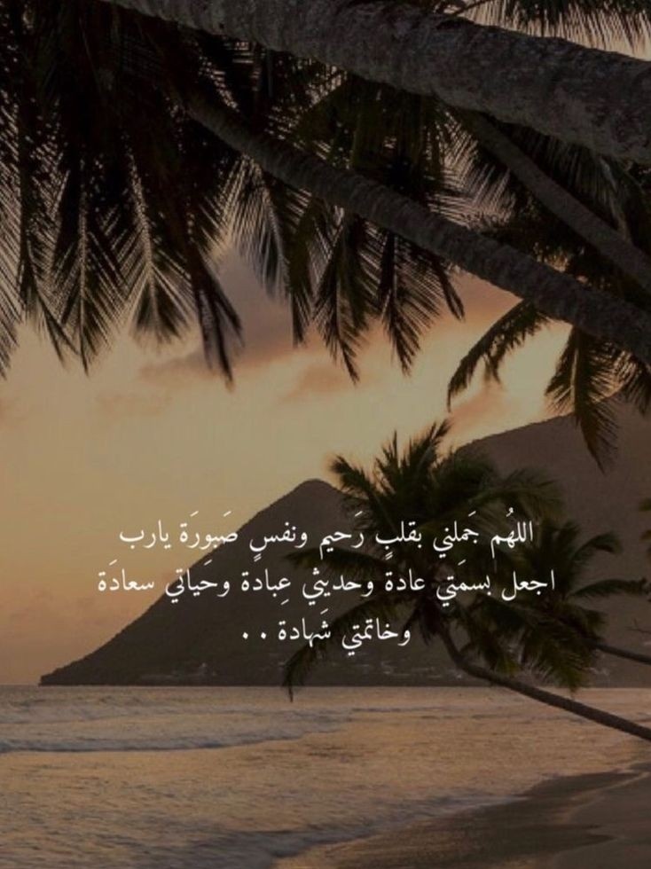 🤍➥

﴿إِنَّا كُنَّا مِن قَبْلُ نَدْعُوهُ…﴾

لحظات الدعاء بقيت خالدة في أذهان أهل الجنَّة.. لم يستطيعوا نسيانها!

ألحُّوا وتلذذوا بالدُّعاء  🤍

#بسّمةأمل 🤍