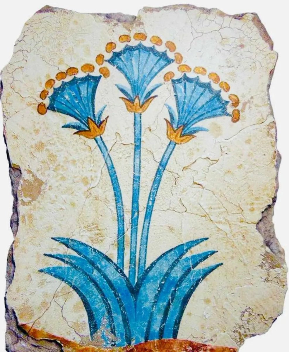 Minoan Sea Daffodils 'Lilies' Fresco Painted sometime before - 1613 BC Akrotiri, Thera (Santorini), Greece 🇬🇷 Detailed Post - instagram.com/p/CfWyQA9PoSi/… #archaeohistories