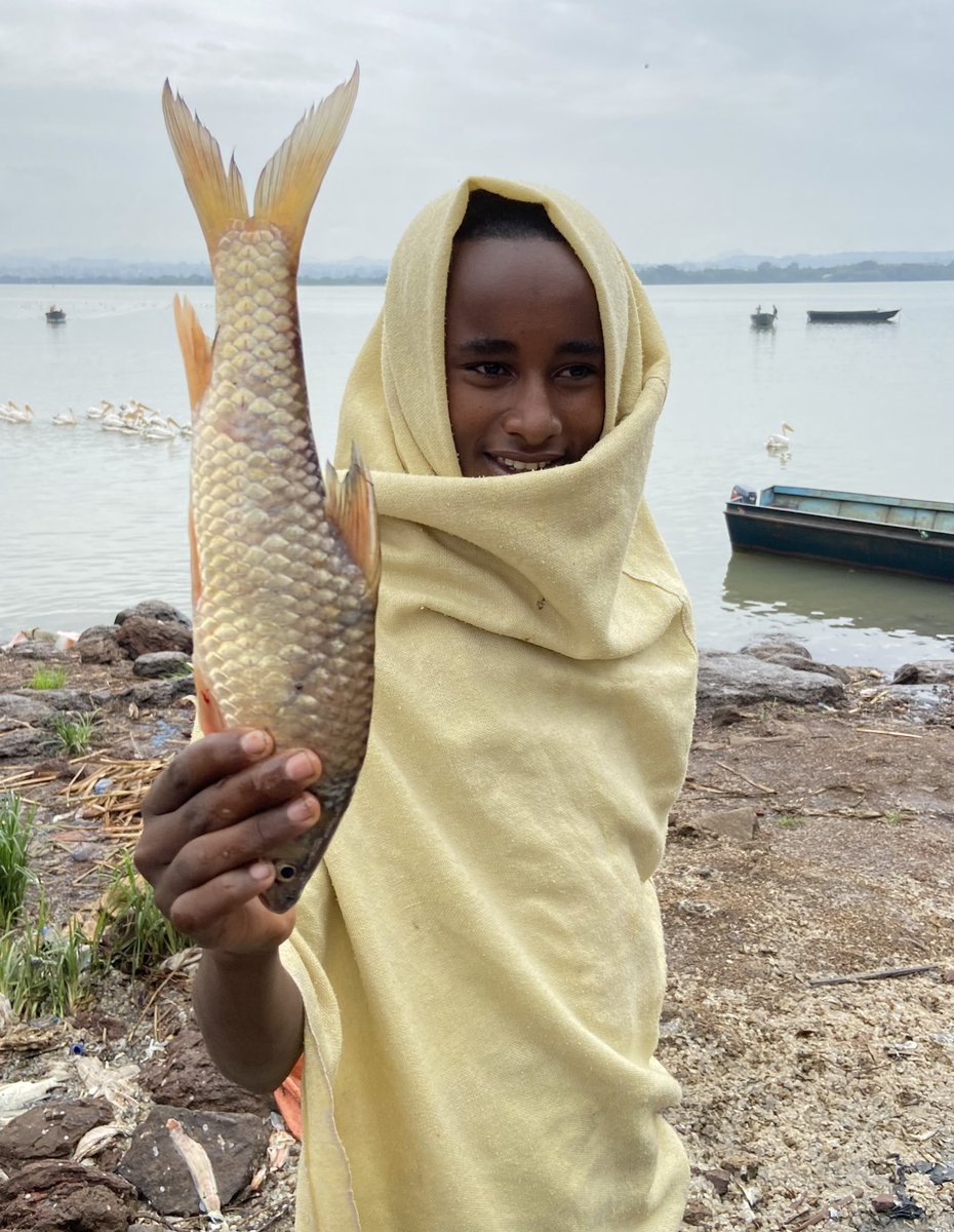 One of my favorite images of the week from Lake Tana in Ethiopia’s Amhara region @ourfuturefish