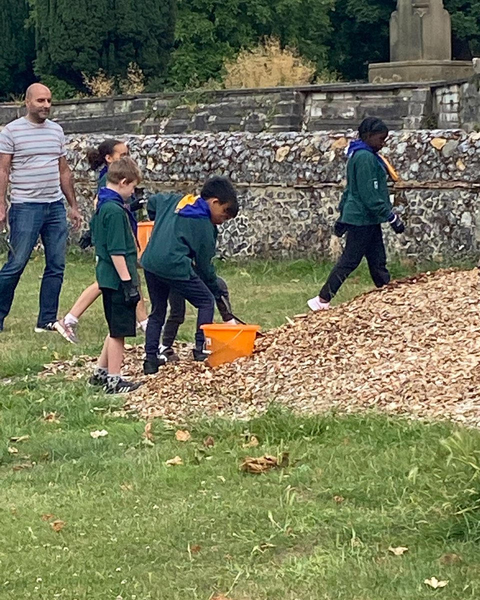 Sutton Scouts tweet media