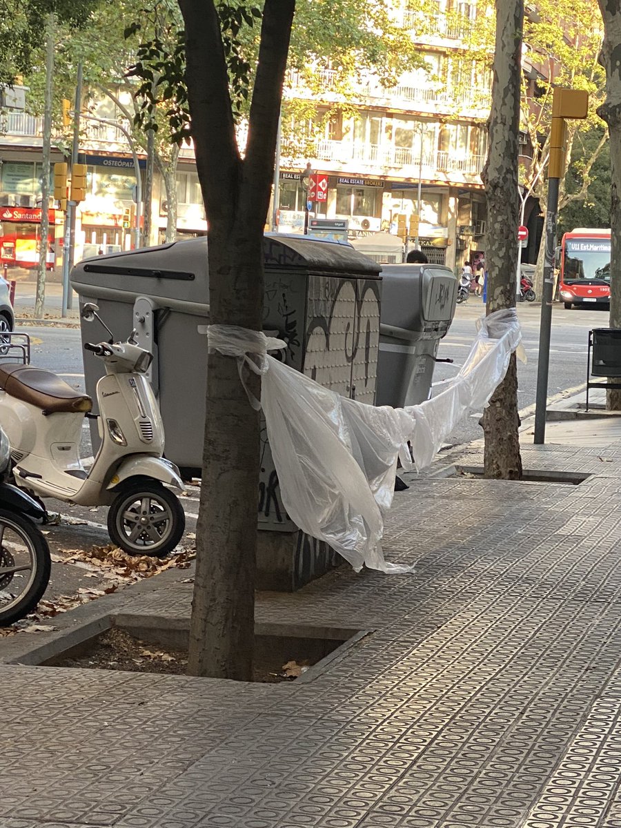 Ana Alvarez tweet media