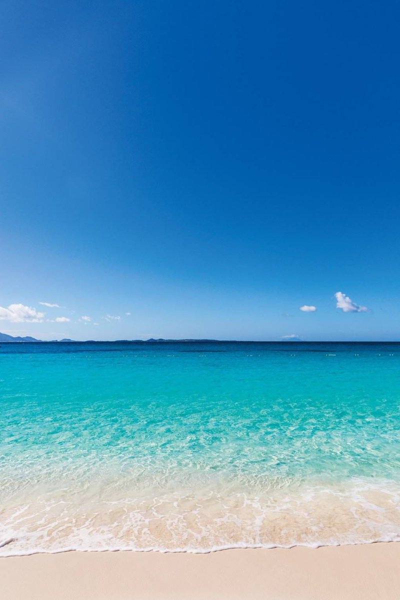 리주연 (@leetmojuyeon) on Twitter photo 