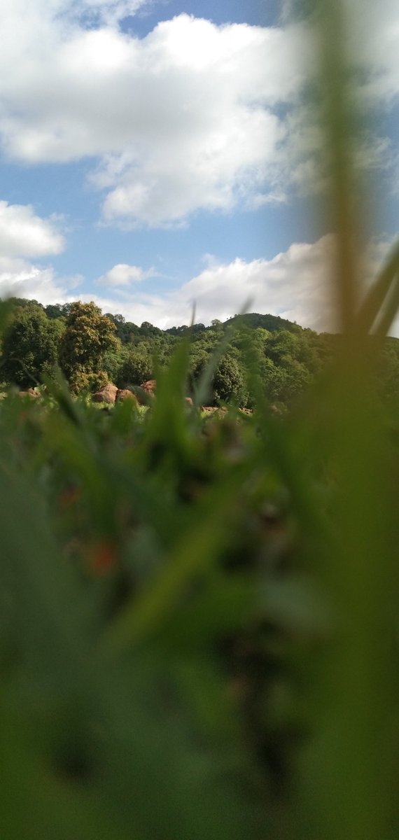 Mя᭄𝖗𝖔𝖈𝖐𝖘𝖙𝖆𝖗S@NU࿐ (@sonusingh1366) on Twitter photo 