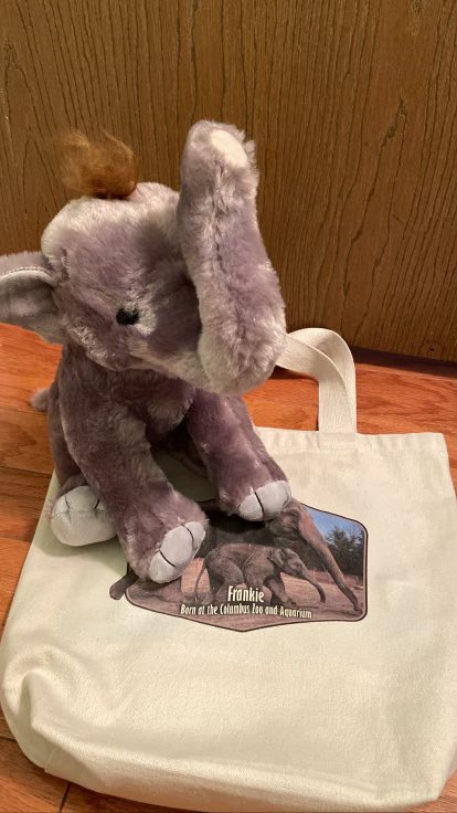 loliver814's tweet photo. .@ColumbusZoo  after receiving the adorable elephant from Frankie’s bday fundraiser, my daughter thought it needed to look more like Frankie! #frankiemohawk #columbuszoo #asianelephants https://t.co/MS8hROgf5u