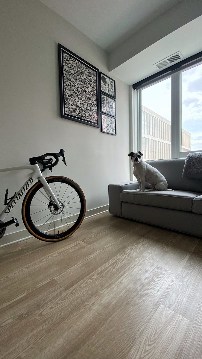 apartment vibe check.