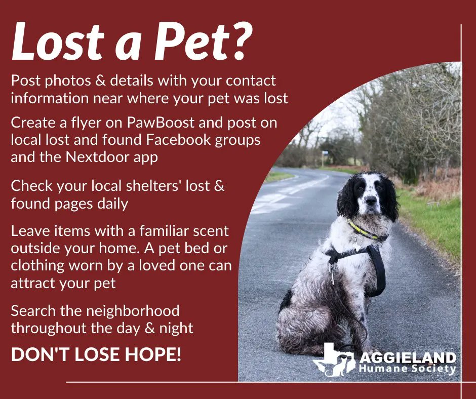 So your pet is missing. Now what? We know losing a pet is stressful - for you and your pet. Here are some helpful tips to help reunite with your lost pet! For even more resources for finding a lost pet, go to bit.ly/3uONlFg
