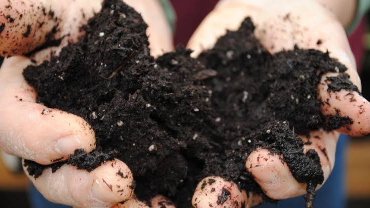 Ishanam2's tweet photo. THE SOIL - BORNE LEGACY Plants greatly rely on their root microbiome for uptake of nutrients and protection against stresses. Recent studies have uncovered the involvement of plant stress responses in the assembly of plant-beneficial microbiomes #SaveSoil @cpsavesoil @SadhguruJV https://t.co/taBfplttWq