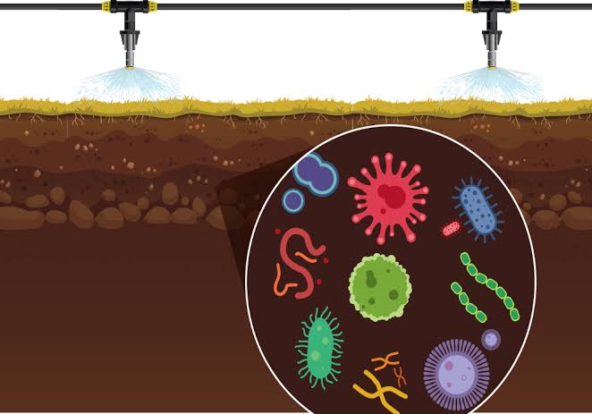 Ishanam2's tweet photo. THE SOIL - BORNE LEGACY Plants greatly rely on their root microbiome for uptake of nutrients and protection against stresses. Recent studies have uncovered the involvement of plant stress responses in the assembly of plant-beneficial microbiomes #SaveSoil @cpsavesoil @SadhguruJV https://t.co/taBfplttWq