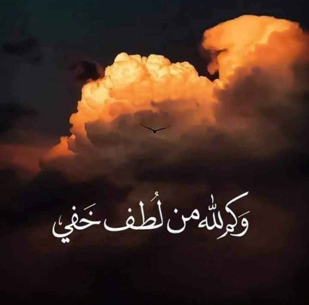 Masoudegy's tweet photo. https://t.co/hxL6pgOvuu