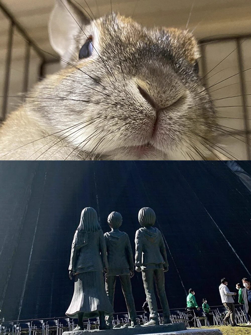 @KimityHKHK こんなイメージか🐰🐰🐰 