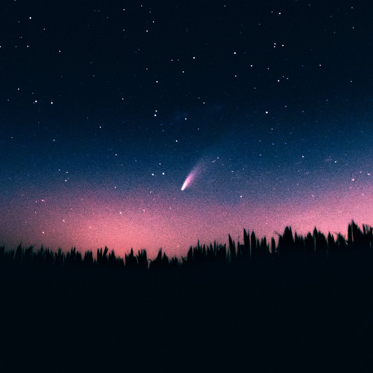 Liminal Cinema tweet media