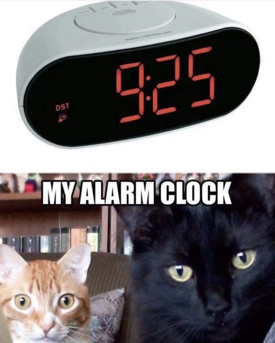 dcd728's tweet photo. When you have #kittys you don’t need an additional #alarmclock They will get you up especially when #breakfast is 5 minutes late! #feedus #getupmom https://t.co/8sP6TYvVED