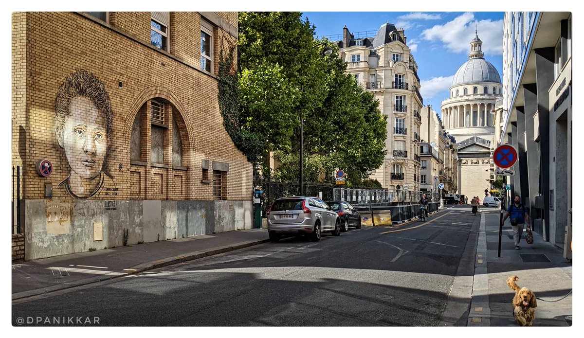 Don't Panik tweet media