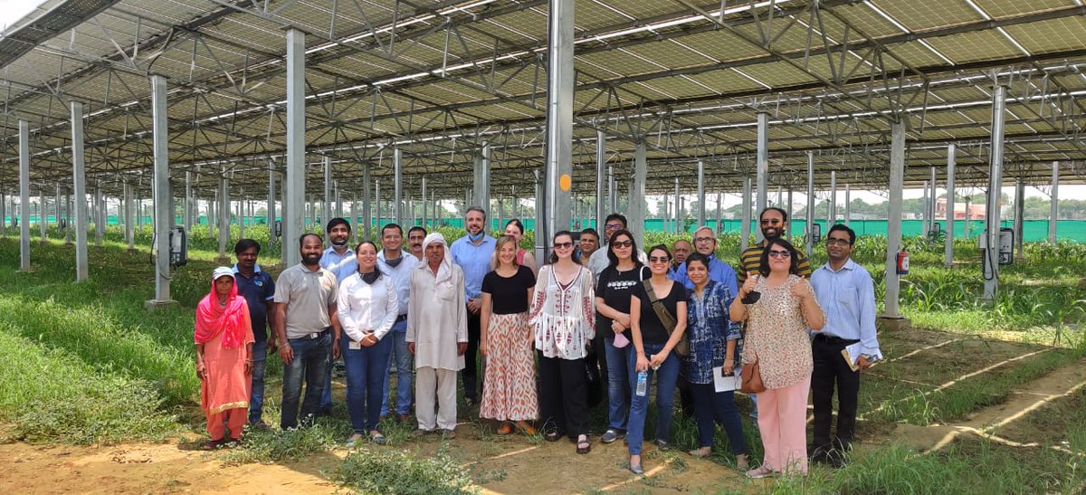 IGEFSO's tweet photo. .@IGEFSO conducted a site visit for @OakridgeEnergy & #Sunmaster #AgriPV sites, where at single piece of land electricity⚡️was produced through elevated #solar #PV panels, the #agricultural activities were happening beneath them & conservation of water through drip irrigation.🌱 https://t.co/8ZO4UG6NAt